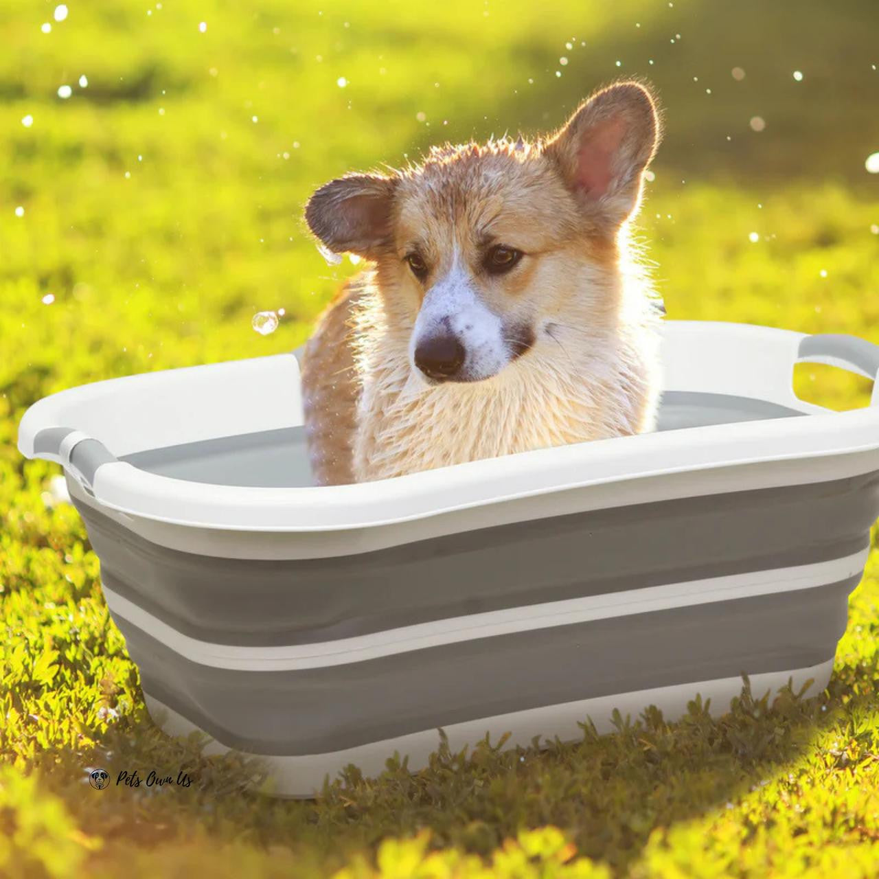 Beberoad Bederoad | B1 | 2-in-1 Pet Bath Tub BBR-B1-Pet-Bath-Tub Pets Own Us