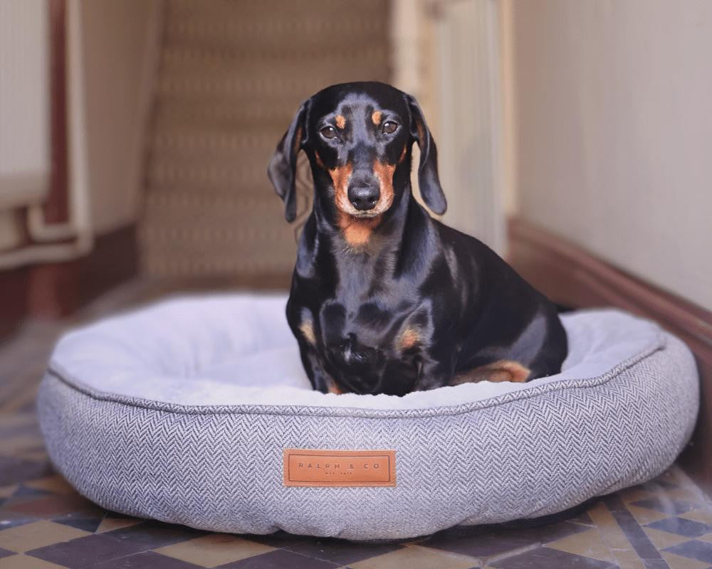 Ralph & Co Grey Calming Donut Dog Bed | Balmoral TBA Pets Own Us