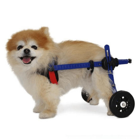 Wheels4Dogs Walkin’ Wheels MINI Dog Wheelchair, Rear Pets Own Us