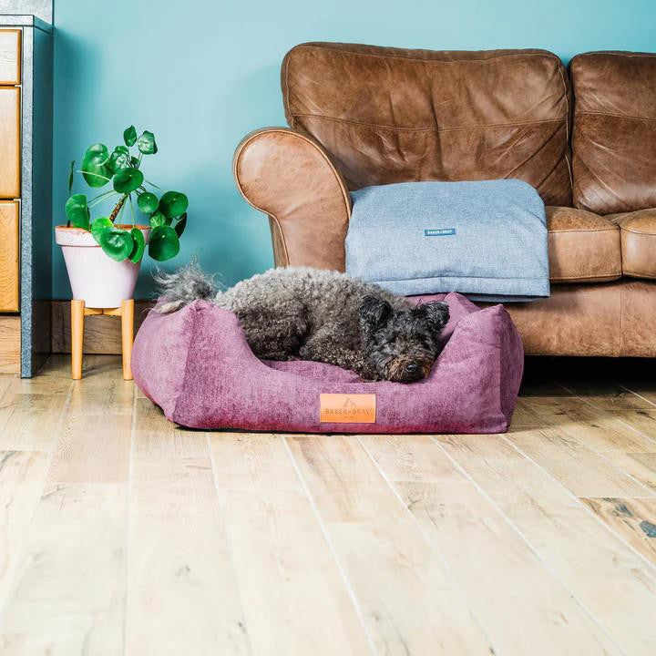  Baker & Bray Luxury Orthopaedic Dog Bed - Designed by Vets | 9 Colours   Pets Own Us