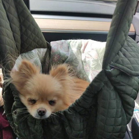 Muffin & Berry Sling Dog Carrier and Travel Bag - Annie   Pets Own Us