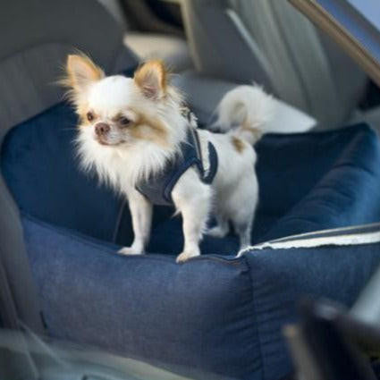 Oh Charlie Dog Car Seat luxury by Oh Charlie - Allure Navy Blue   Pets Own Us