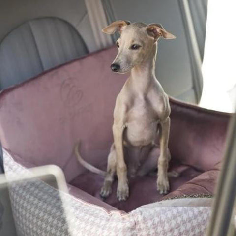 Oh Charlie Glamour Car Seat LUXURY by Oh Charlie - Pink   Pets Own Us