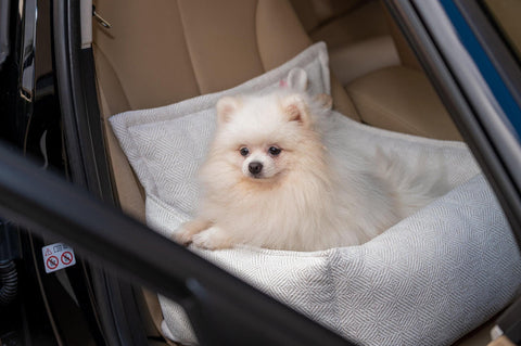 Oh Charlie Luxury Dog Car Seat | Florence by Oh Charlie   Pets Own Us