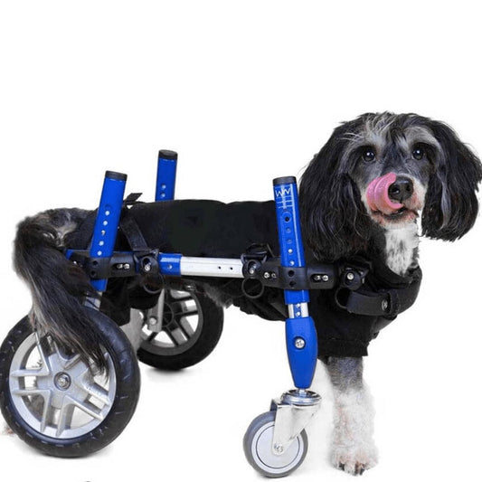 Wheels4Dogs Walkin’ Wheels Full Support/4-Wheel Quad Wheelchair SMALL   Pets Own Us