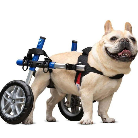 Wheels4Dogs Walkin’ Wheels SMALL Dog Wheelchair, Rear   Pets Own Us